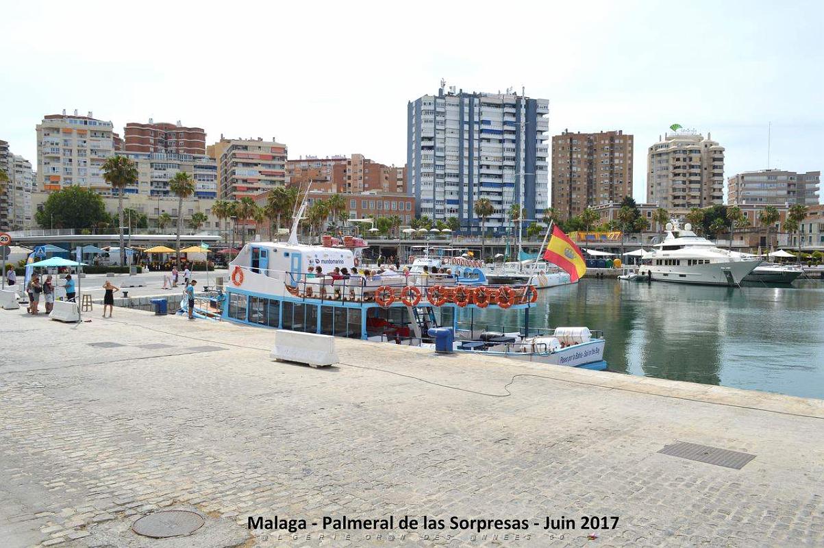 138- Malaga Palmeral Sorpresas.JPG